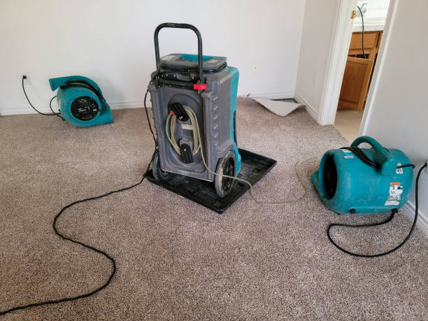 Best 24/7 water damage repair  in Jackson, GA