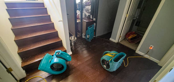  Jackson, GA Water damage restoration Pros