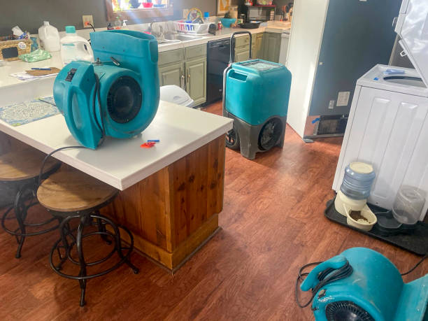 Best Water damage restoration near me  in Jackson, GA