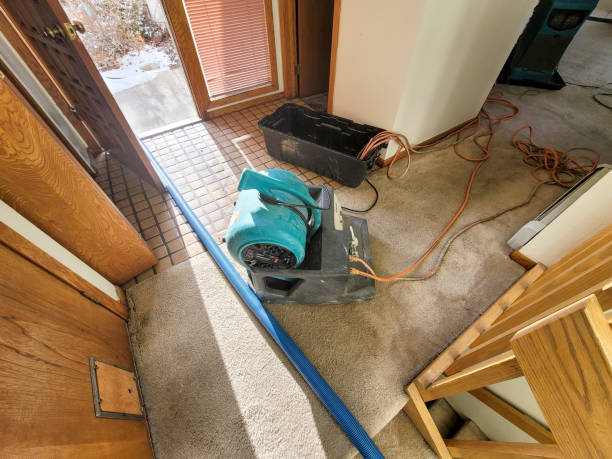 Best Water damage cleanup near me  in Jackson, GA