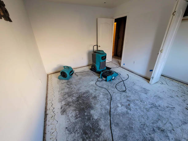 Best Residential water damage restoration  in Jackson, GA