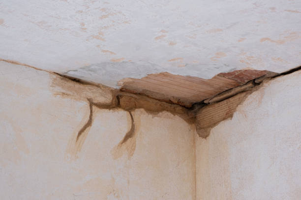 Best Water damage restoration company  in Jackson, GA