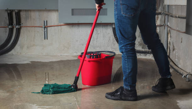 Best Water damage cleanup near me  in Jackson, GA