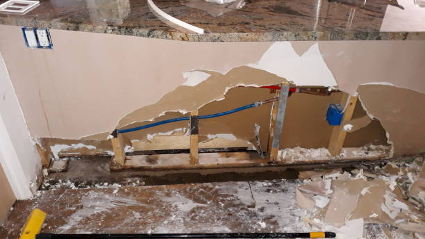 Best Carpet water damage restoration  in Jackson, GA