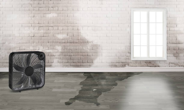 Best Commercial water damage restoration  in Jackson, GA