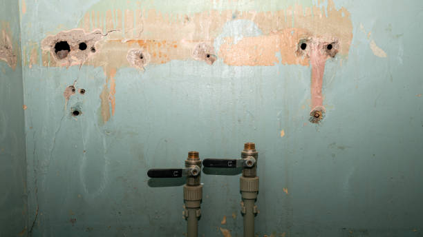 Best Flooded house restoration  in Jackson, GA